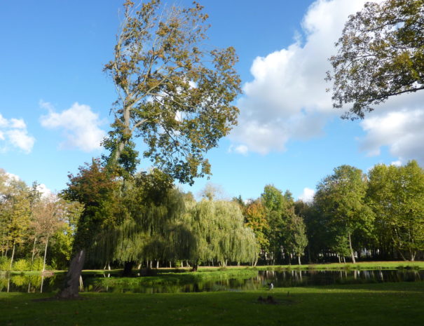 The local park